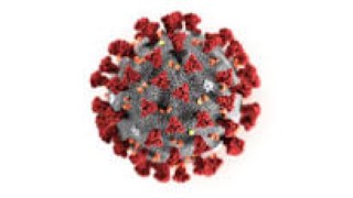 download_coronavirus_Mobile.jpg download_coronavirus_Mobile.jpg